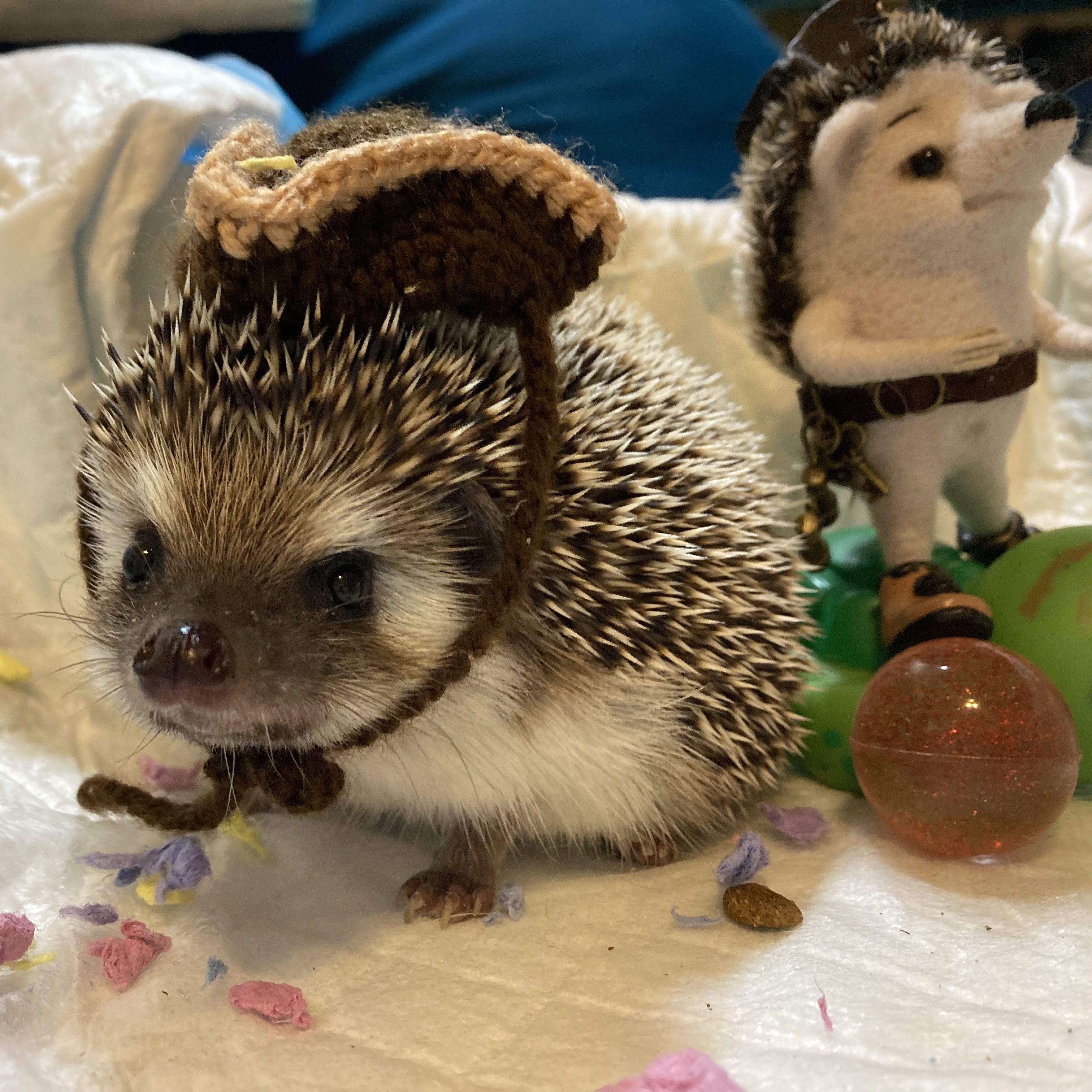 Ms. Dianne's Whimsies